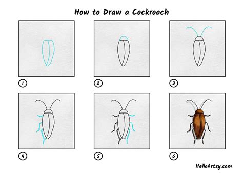 Update 147+ cockroach drawing easy latest - seven.edu.vn