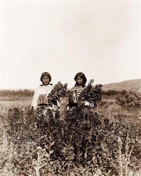 Beautiful Early 1900s Native American Photos | Natives | Native ...