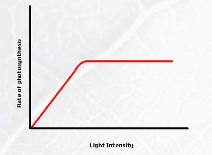 Effect of Light intensity on the rate of Photosynthesis - Biology Notes for IGCSE 2014