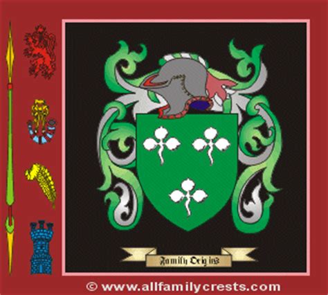 Honan family crest and meaning of the coat of arms for the surname ...