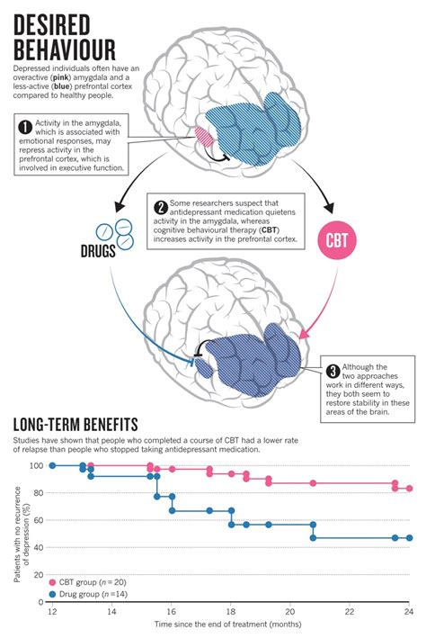 Does CBT teach your prefrontal cortex to keep emotions in check? - Dr ...