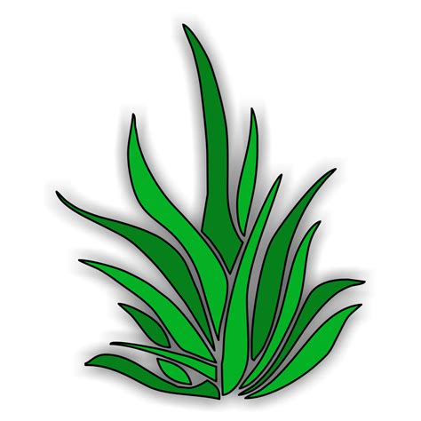 Free Sea Plants Cliparts, Download Free Sea Plants Cliparts png images, Free ClipArts on Clipart ...