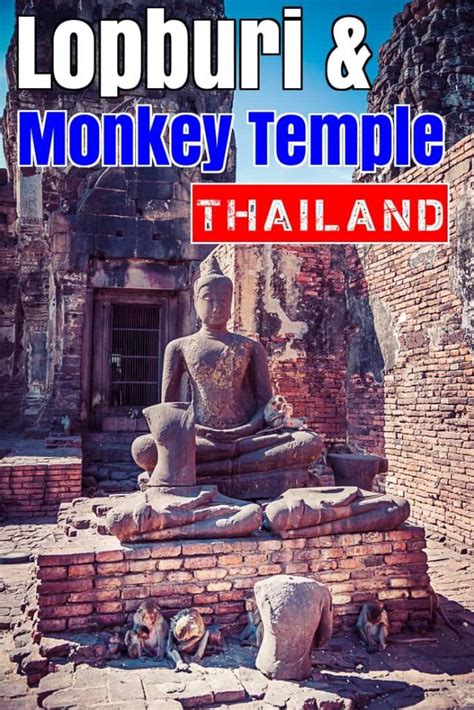 How to best experience the Lopburi Monkey Temple in 2024