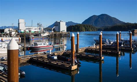 Adventure Seekers - Tofino Resort + Marina is the perfect fit for you | Seattle Refined