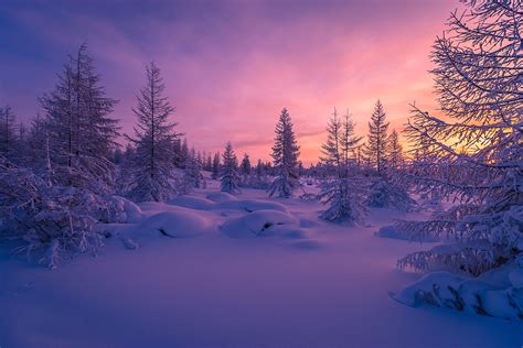 Winter Forest Scenery Wallpapers - Wallpaper Cave