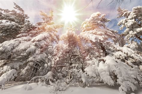 What is the Winter Solstice? | PeopleHype