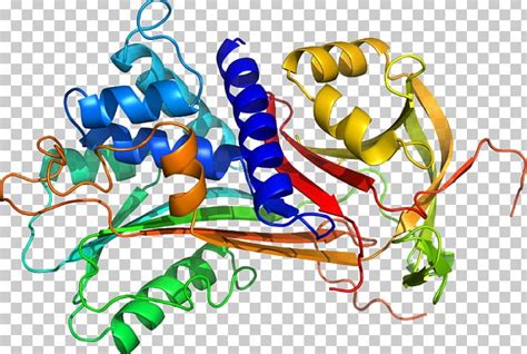 Alpha-1-proteinase Inhibitor Alpha 1-antitrypsin Deficiency Protein Structure PNG, Clipart ...