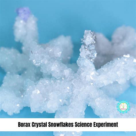 How to Make Borax Crystal Snowflakes in Minutes!