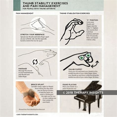 Thumb Stability Exercises and Pain Management – Therapy Insights