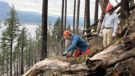 How to Give Back to Your Favorite Oregon Hiking Trails - Travel Oregon