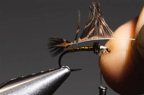 How To Tie a Soft Hackle (Step-By-Step With Video) - Into Fly Fishing