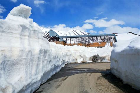 A whooping 1200 permits for visiting Rohtang Pass are issued daily ...