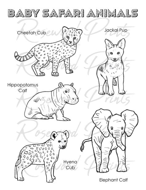 Baby Safari Animals Coloring Pages - Etsy