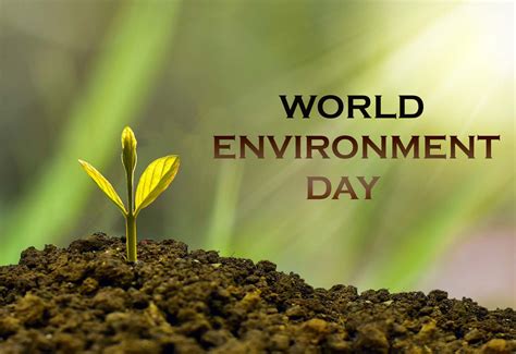 World Environment Day 2024: Images, Posters, Quotes and Slogans