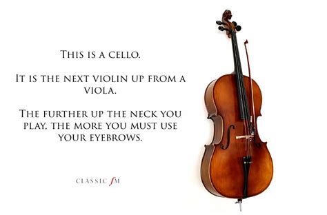 Cello - Musical instruments explained: a beginner's guide - Classic FM