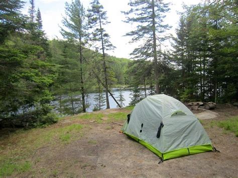 A Quick Guide to Algonquin Provincial Park