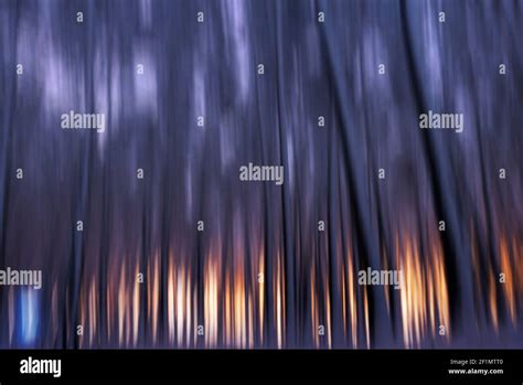 Mystical forest. Photo is blurry Stock Photo - Alamy