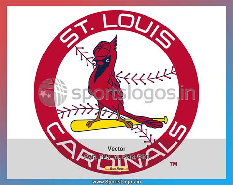 St. Louis Cardinals - Baseball Sports Vector SVG Logo in 5 formats ...