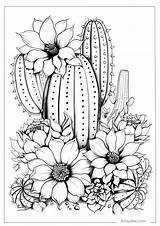 Prickly Fun 20 Free Printable Cactus Coloring Pages To Brighten Your  sketch template