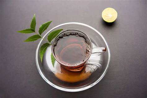 Why Everyone is Talking About Neem Tea: Health Benefits