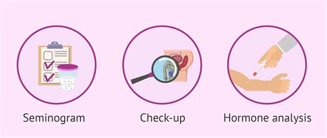 male infertility test copie