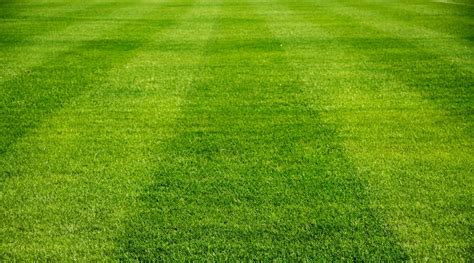 Soccer Field - close up of grass soccer field • SoccerToday