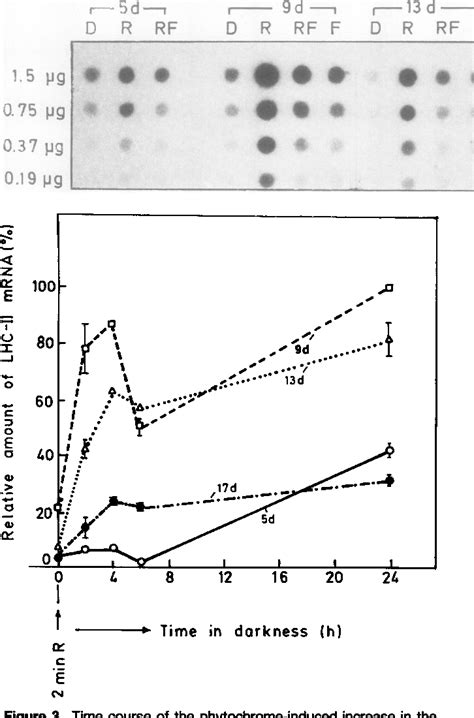 Figure 3 from Circadian Rhythm in the Expression of the mRNA Coding for ...