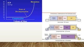 lucid interval and its importance in trauma and mental health | PPT