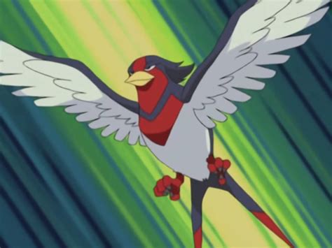 24 Fun And Interesting Facts About Swellow From Pokemon - Tons Of Facts