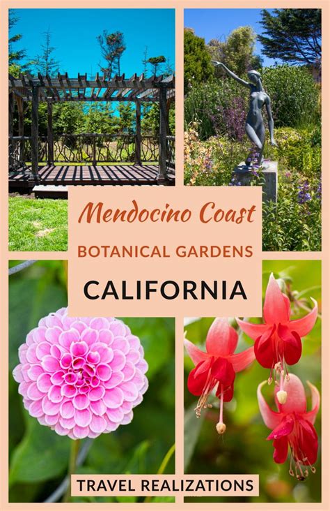 Mendocino Coast Botanical Gardens - A Photo Essay! - Travel Realizations