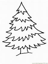 Pine Trees Coloring Pages  Nation sketch template