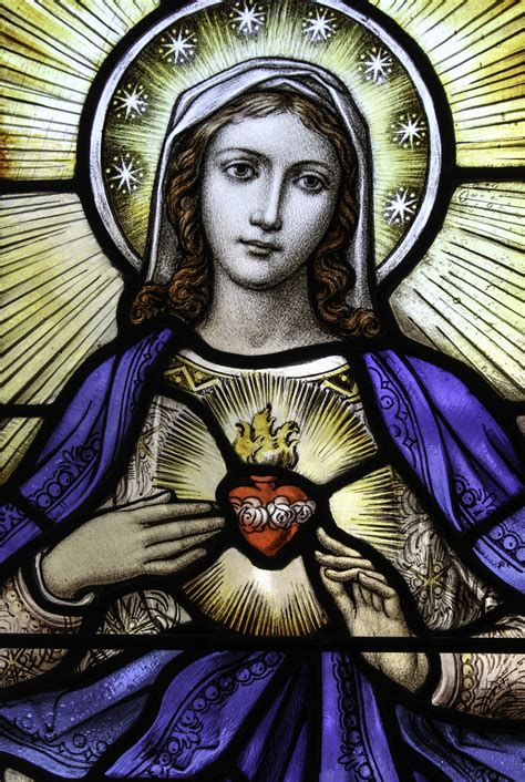 Immaculate Heart Of Mary Icon at Vectorified.com | Collection of Immaculate Heart Of Mary Icon ...