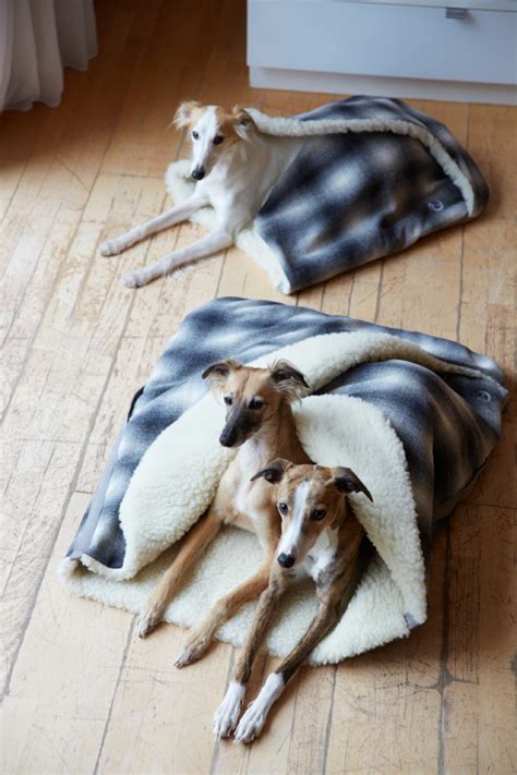 STYLISH DOG BEDS: CLOUD 7 DOG SLEEPING BAG - PAWSH MAGAZINE | A New Breed of Dog Magazine