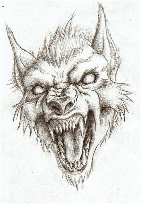 Werewolf head drawing (not my art!) | Werewolf drawing, Werewolf art ...