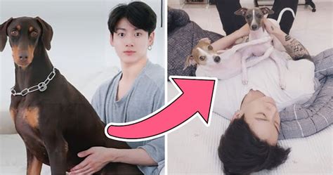 BTS’s Jungkook Starts The New Year By Introducing ARMYs To His Dog Bam ...