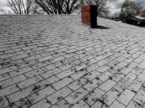 Roof Hail Damage Inspection | McKinnis Roofing | Nebraska & Iowa