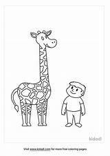 Sarah Plain And Tall Coloring Page Pages sketch template