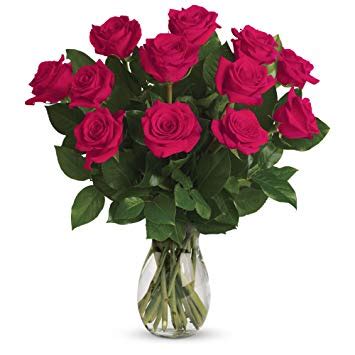 Hot Pink Rose Bouquet 12 STANDARD 18 DELUXE 24 PREMIUM in Fort ...