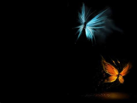 Black Butterfly Background HD wallpaper | Pxfuel