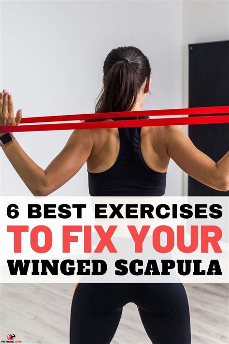 6 Best Exercises To Fix Your Winged Scapula | Scapula exercises, Winged ...