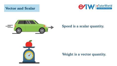 Vector and Scalar: Definitions, Examples and FAQs