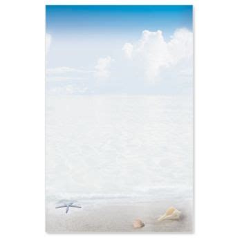 two seashells on the beach with blue sky and clouds