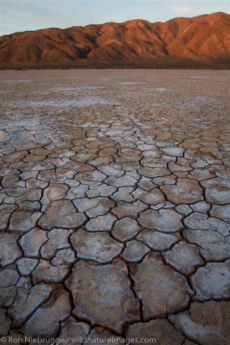 Dry Lake Bed | Photos by Ron Niebrugge