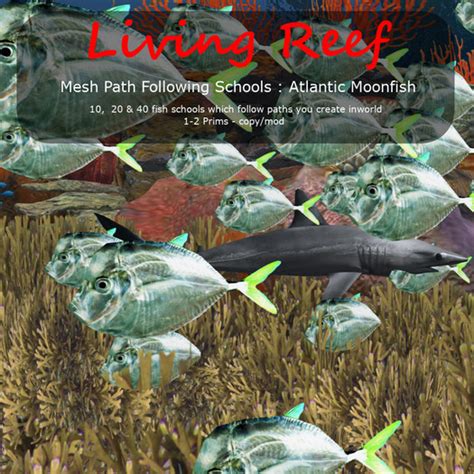 Second Life Marketplace - Inochi Reef - Mesh Atlantic Moonfish School