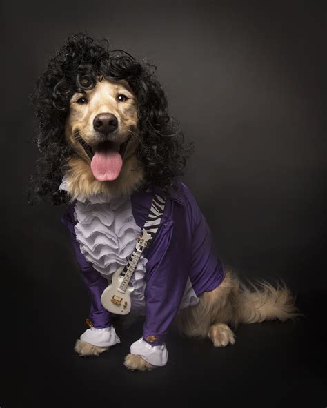 DIY Purple Rain Prince Costume for Dogs - Costume Yeti