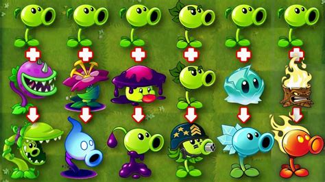 PvZ2 Every Peashooter Plants Fusion & Evolution - YouTube