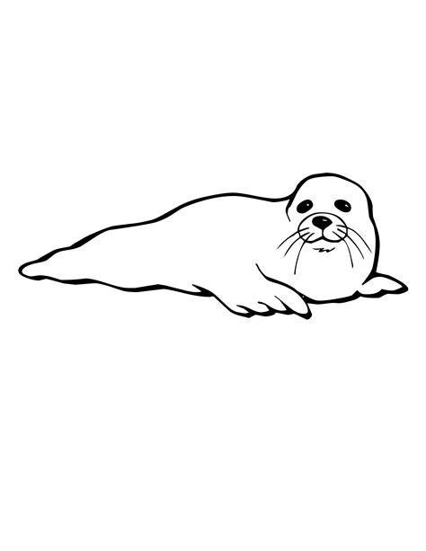 Free Cute Seal Coloring, Download Free Cute Seal Coloring png images, Free ClipArts on Clipart ...