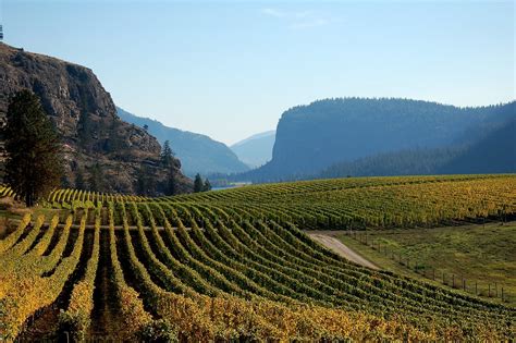 Blue Mountain Vineyards, Okanagan Falls, BC | The classic Ok… | Flickr