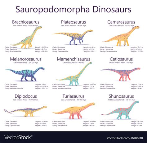 Sauropodomorpha dinosaurs colorful Royalty Free Vector Image