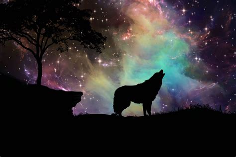 Anime Wolf Howling Wallpapers - Wallpaper Cave